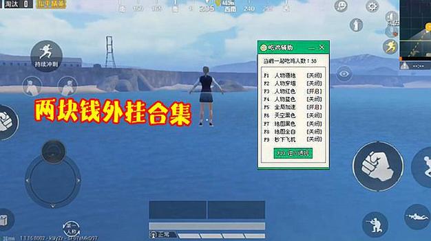 和平精英辅助软件的发展与影响分析
