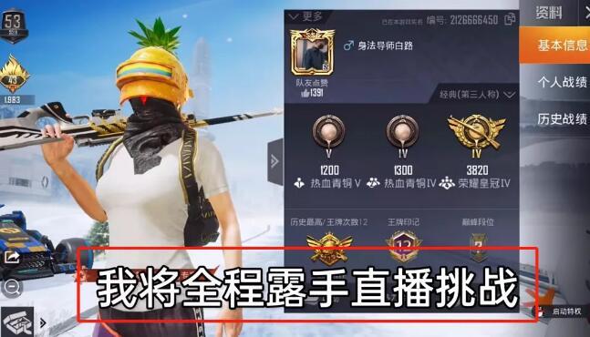 突破游戏界限：探索和平精英辅助工具的神秘世